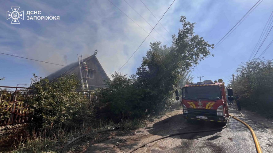 Врятували худобу - у Запоріжжі сталася пожежа у приватному секторі (фото)