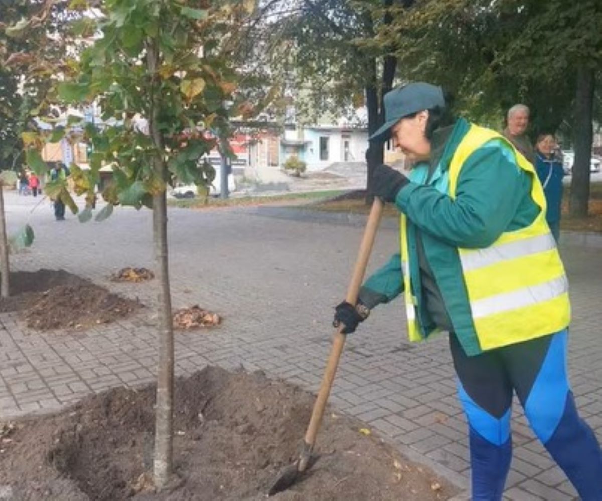 На головному проспекті Запоріжжя почали висаджувати дерева з дивовижним ароматом квітів