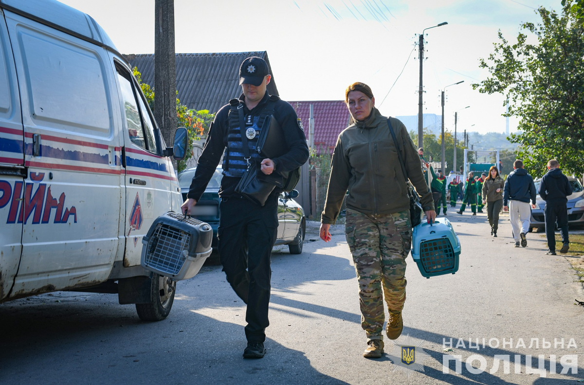 Під час ворожого обстрілу Запоріжжя літнє подружжя дивом врятувалося, а їх домашнім улюбленцям не пощастило - відео, фото