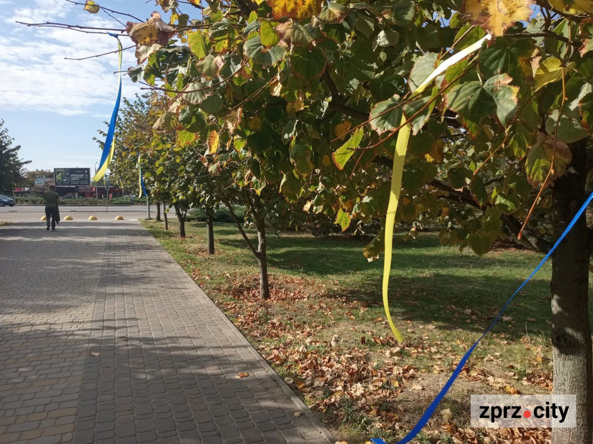 У головному парку спального району Запоріжжя відкрили патріотичну фотозону