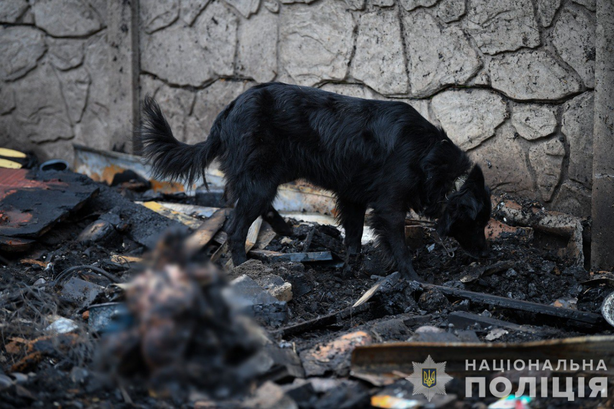 У поліції повідомили причину жахливої пожежі притулку під Запоріжжям, під час якої загинули тварини - фото