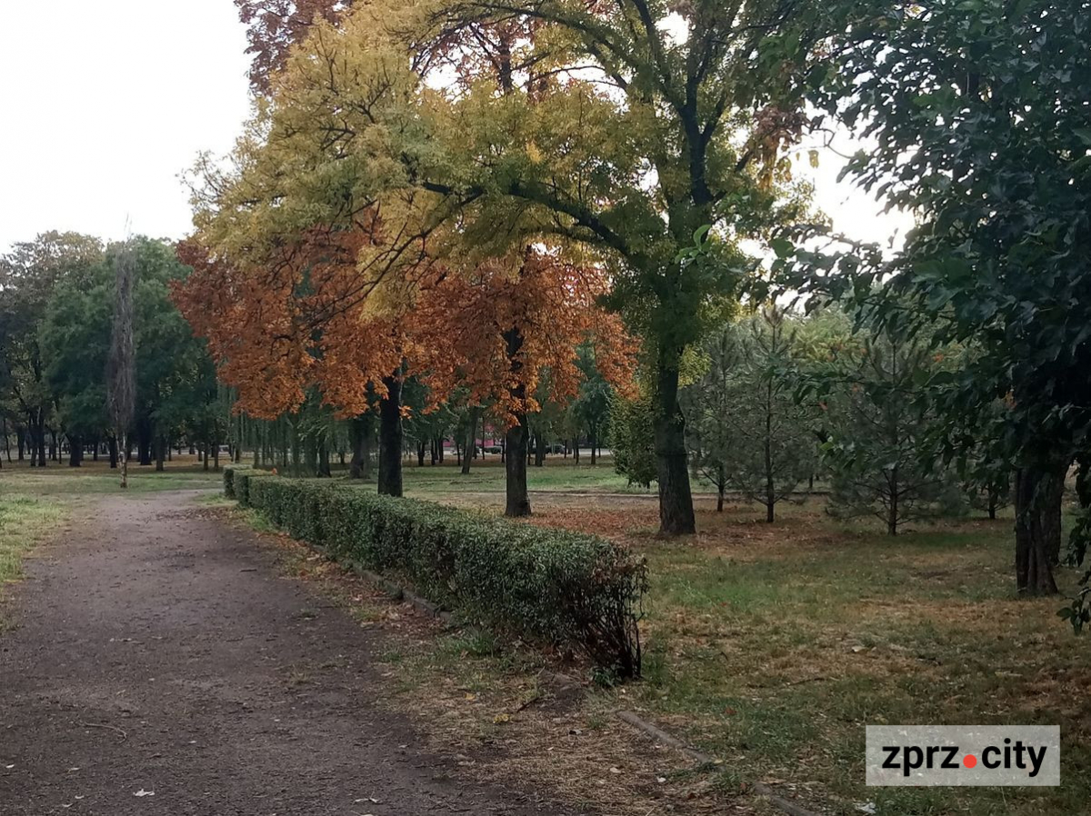 Запорізький парк у центрі міста після дощу - як зараз виглядають артоб'єкти