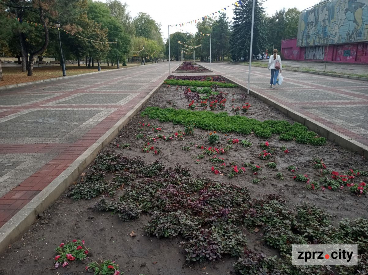 Запорізький парк у центрі міста після дощу - як зараз виглядають артоб'єкти