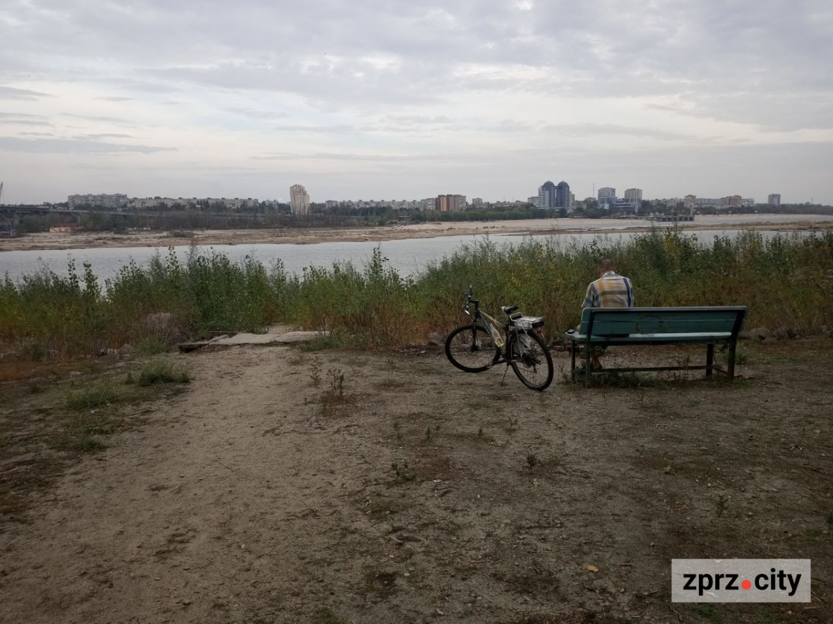 Заросло паростками тополь - як виглядає узбережжя Хортиці в середині осені (фото)