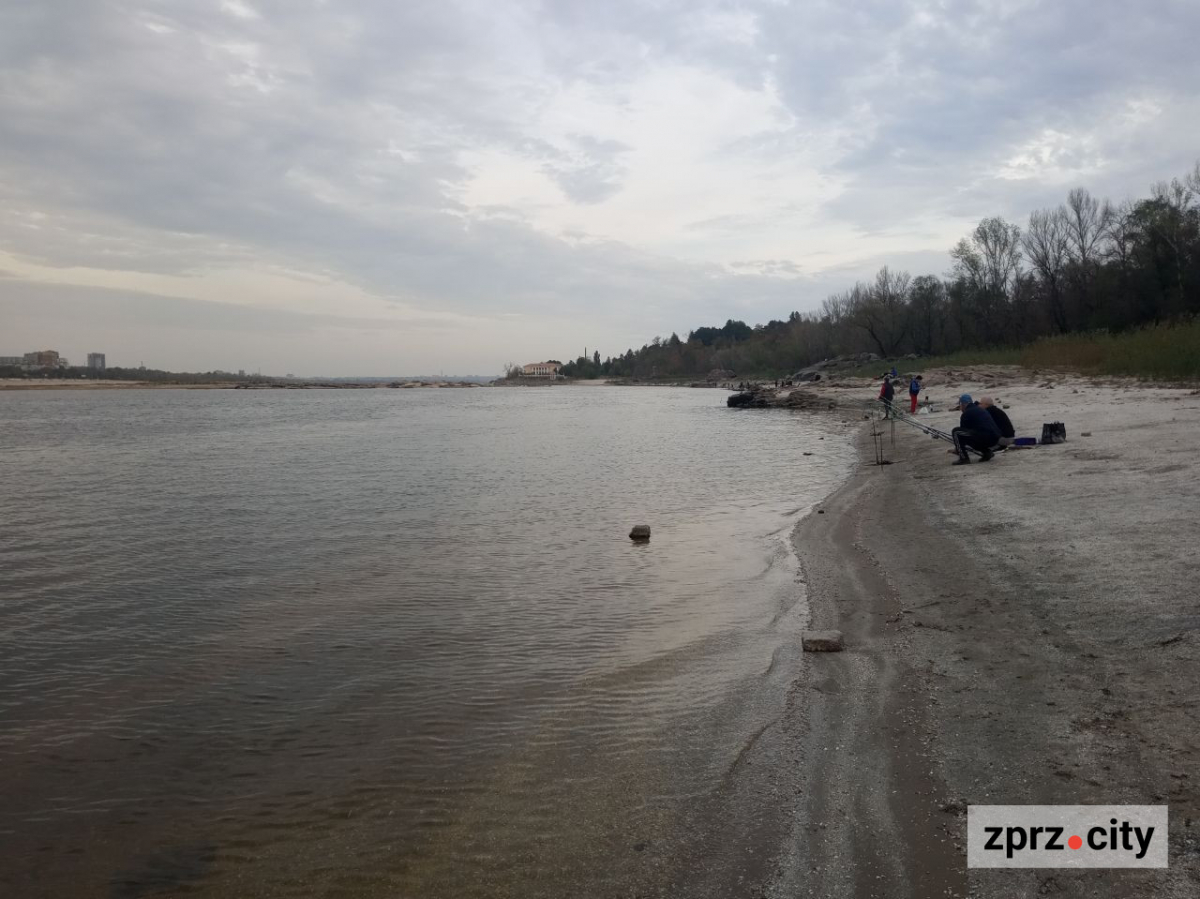 Заросло паростками тополь - як виглядає узбережжя Хортиці в середині осені (фото)