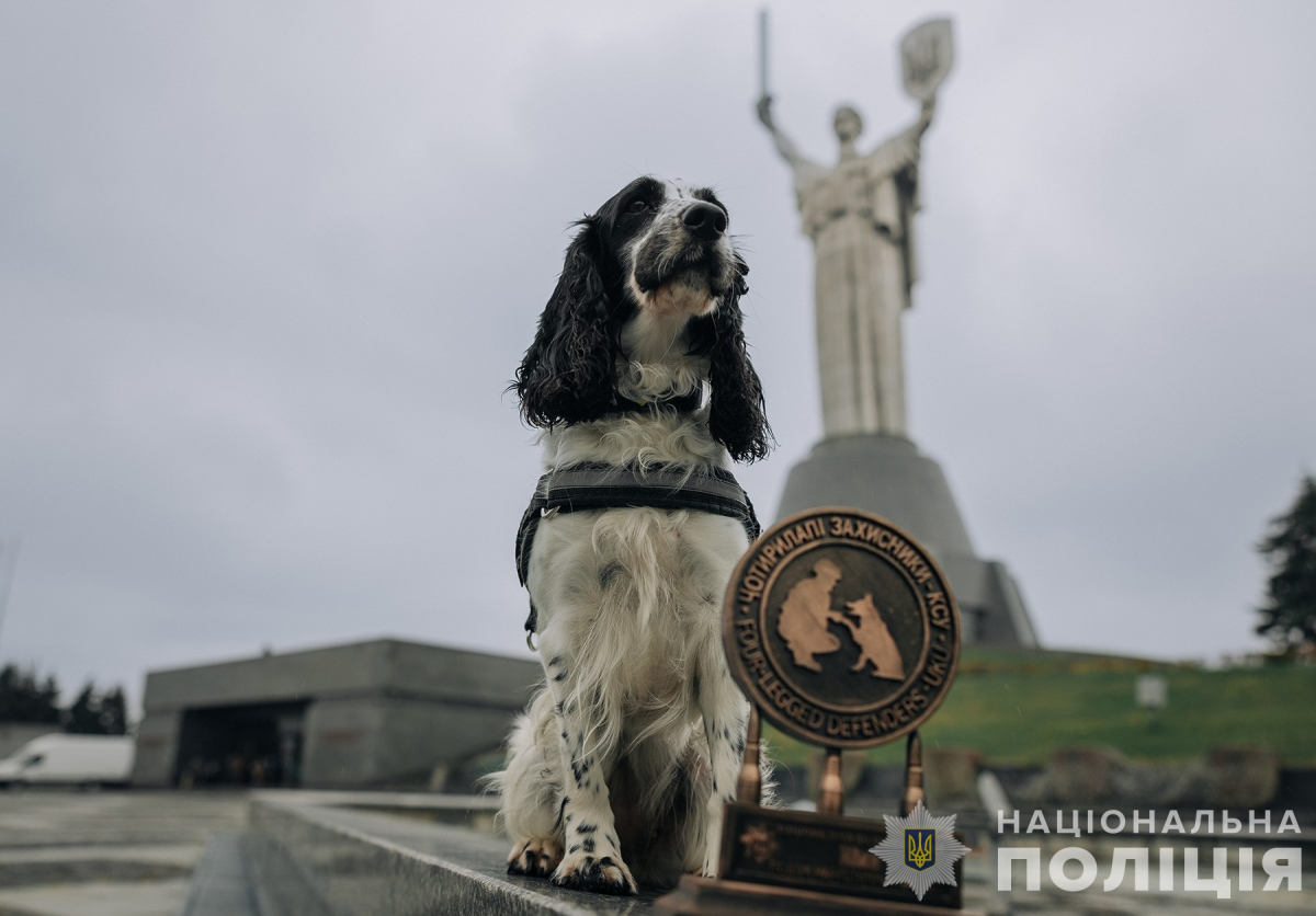 Гроза наркоманів - у Запоріжжі живе одна з найкращих поліцейських собак в України (фото)