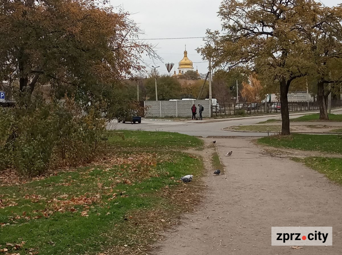 Незвичайне каміння, лелеки та багато дерев - як виглядає запорізькій парк у листопаді (фото)