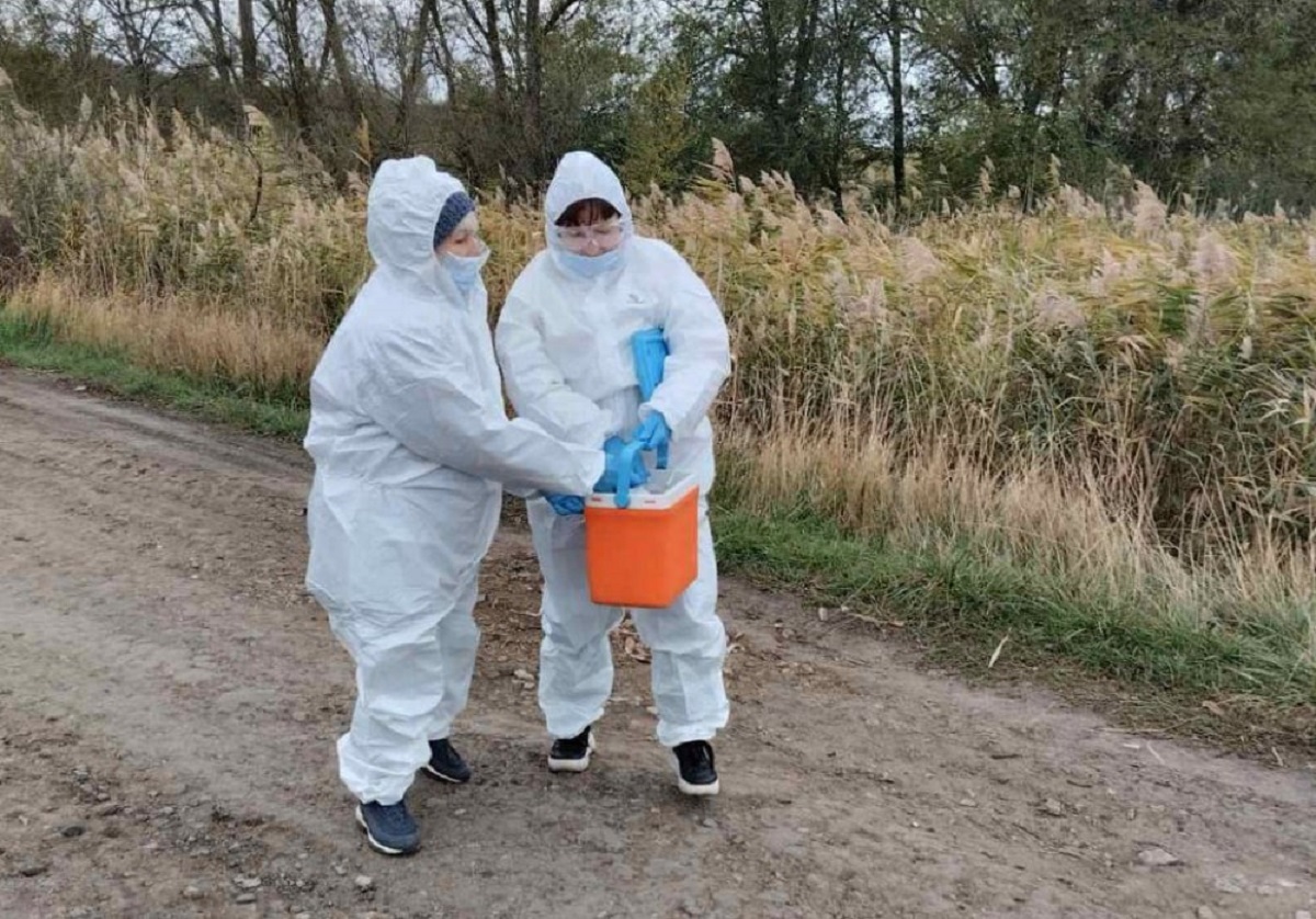 Проти сказу - у Запорізькій області провели осінню вакцинацію тварин