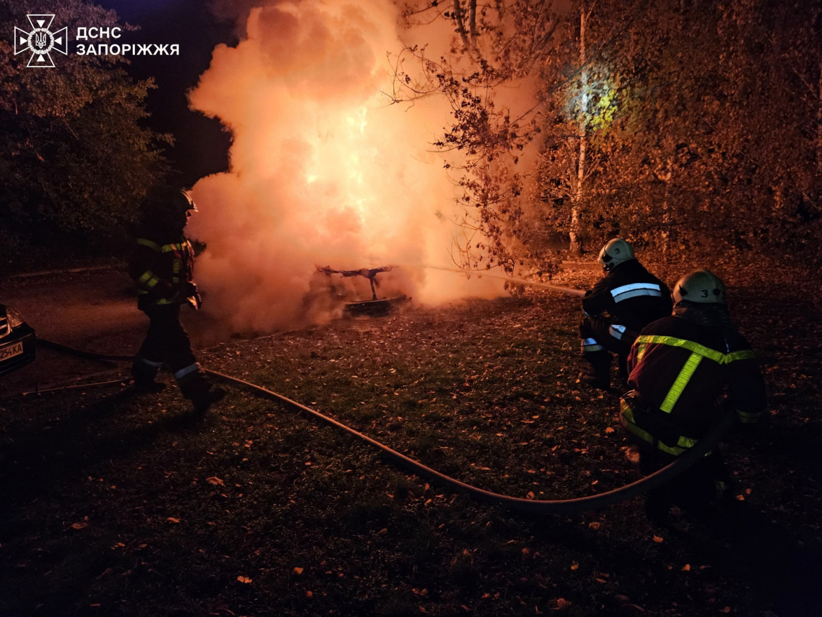 У Запоріжжі горів Лексус - як прокоментували пожежу у поліції