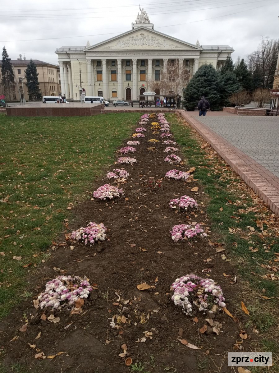 Як запорізький сквер виглядає на початку грудня - зовсім не по зимовому (фото)