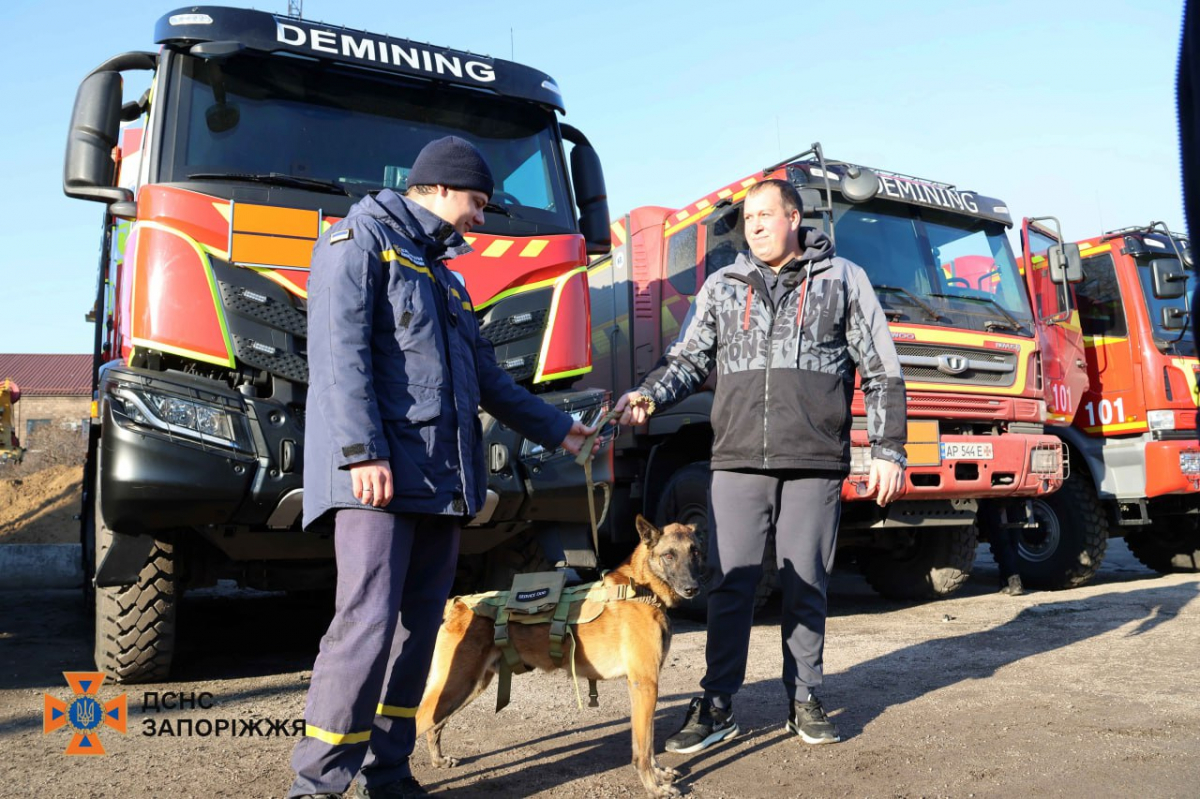 Розміновував школи, дитсадки та залізничні станції - у Запоріжжі зворушливо провели пса-сапера на заслужений відпочинок (фото, відео)