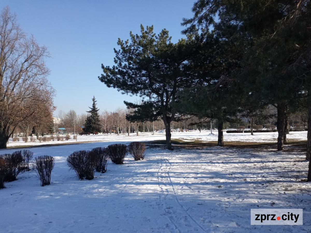 Як виглядає взимку засніжений парк в одному з районів Запоріжжя (фото)