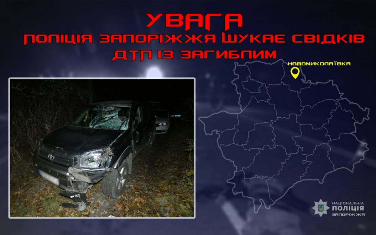 На трасі "Запоріжжя - Донецьк" на смерть збили чоловіка - поліція шукає свідків