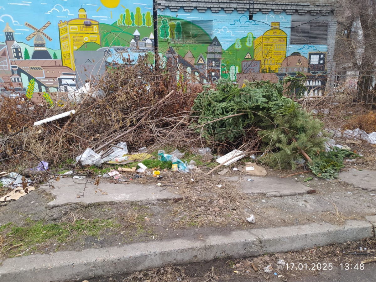 Запоріжці в соцмережах поскаржилися на смітники в центрі міста - коли приберуть