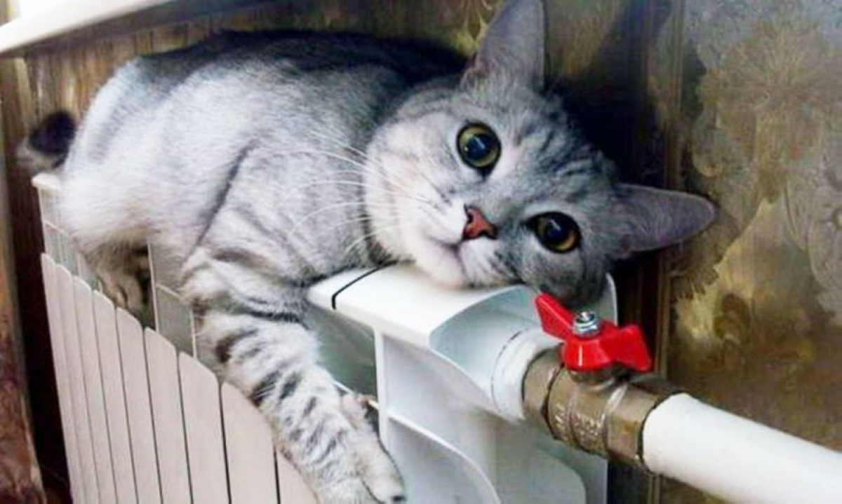 Коли у Запоріжжі закінчиться опалювальний сезон та що буде з цінами на тепло