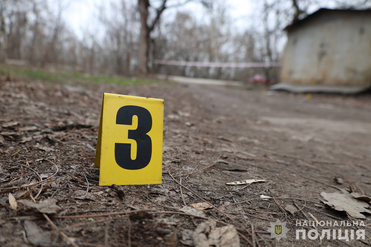 Під час рейду поліцейських і ТЦК запоріжець вистрелив і кинув гранату - подробиці, відео