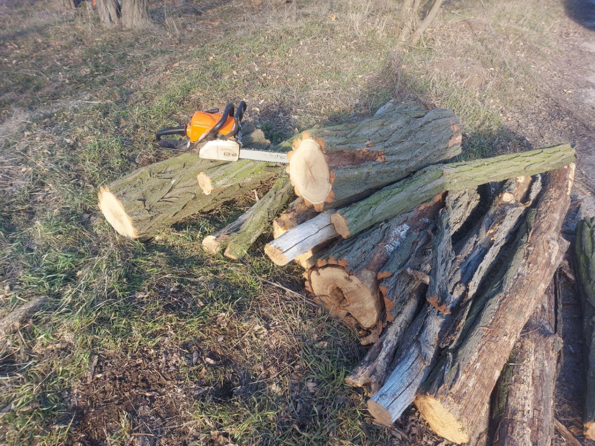 У Запорізькому районі затримали браконьєра, який вирубав дерева (фото)