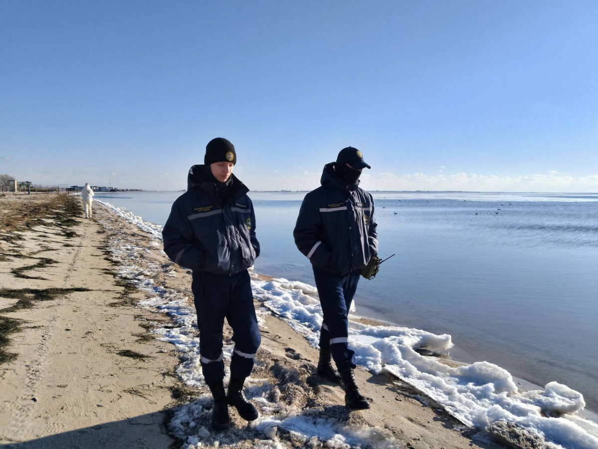 В окупованому Бердянську росіяни змушують студентів "працювати" комунальниками 