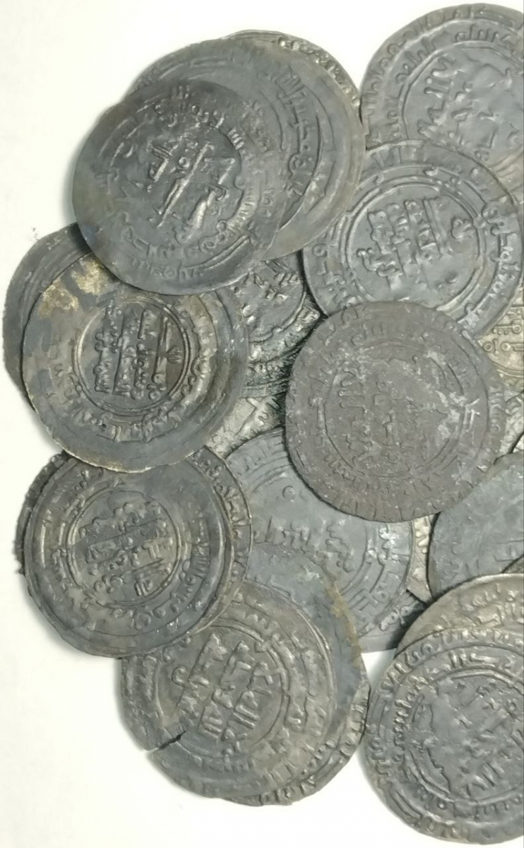 На острові Хортиця знайшли старовинні срібні арабські монети - фото