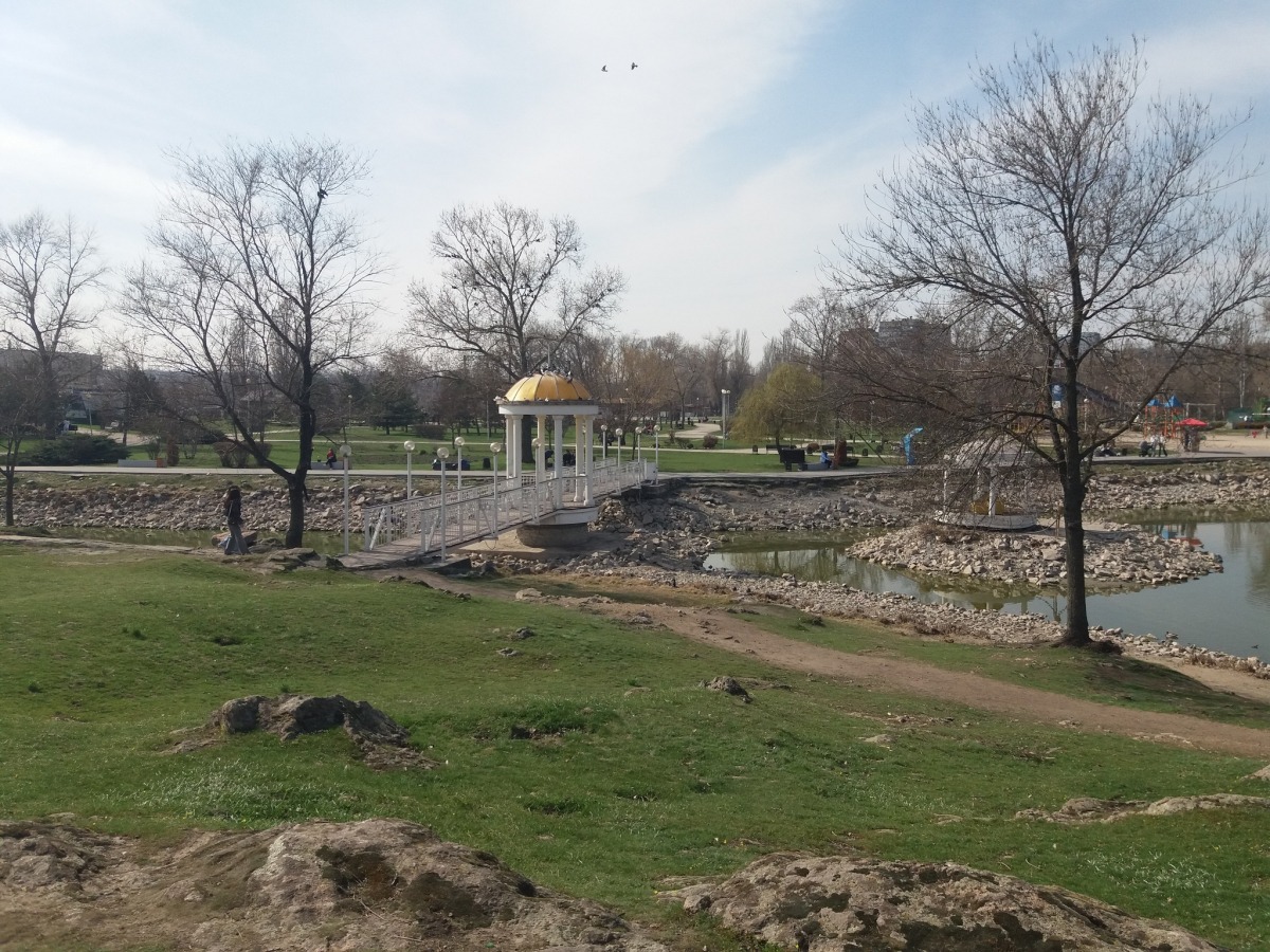 Черепах переселили – у Запоріжжі врятували плазунів з пересохлої водойми (фото, відео)