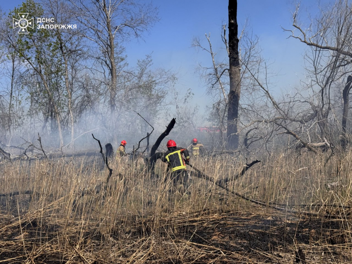 Гасіння пожежі коригують за допомогою дрона - у Запоріжжі горять плавні (фото, відео)
