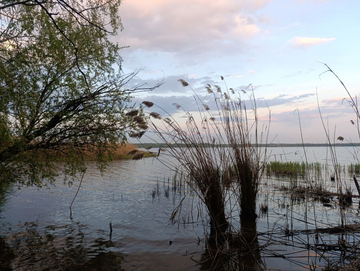 Хмарно, але тепло - чого очікувати від погоди в Запоріжжі найближчими днями