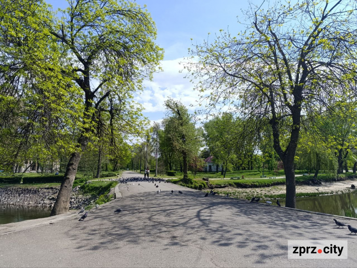 Сакури, озера, птахи та зелень - центральний запорізький парк відзначає 66-річчя (фото)