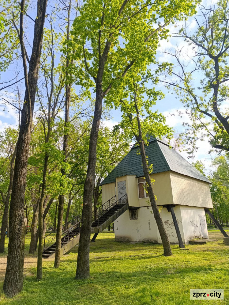 Сакури, озера, птахи та зелень - центральний запорізький парк відзначає 66-річчя (фото)