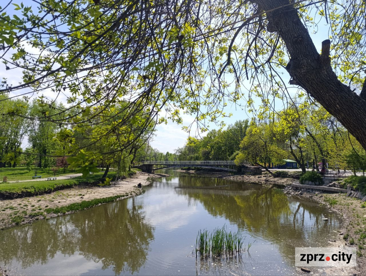 Сакури, озера, птахи та зелень - центральний запорізький парк відзначає 66-річчя (фото)