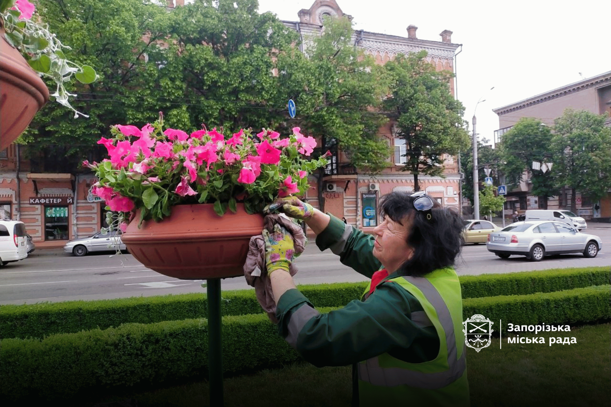 У Запоріжжі центральний проспект перетворюють на квітучу оазу (фото)