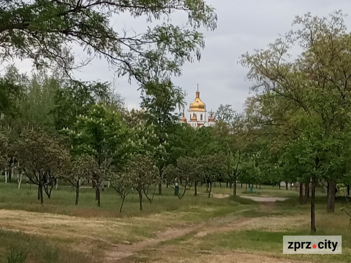 Весняна краса запорізького парку - в одному з районів міста цвітуть заборонені рослини