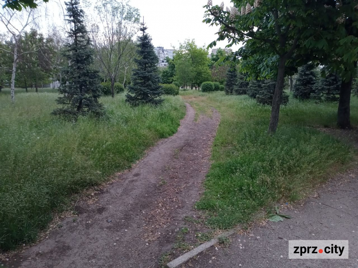 Весняна краса запорізького парку - в одному з районів міста цвітуть заборонені рослини