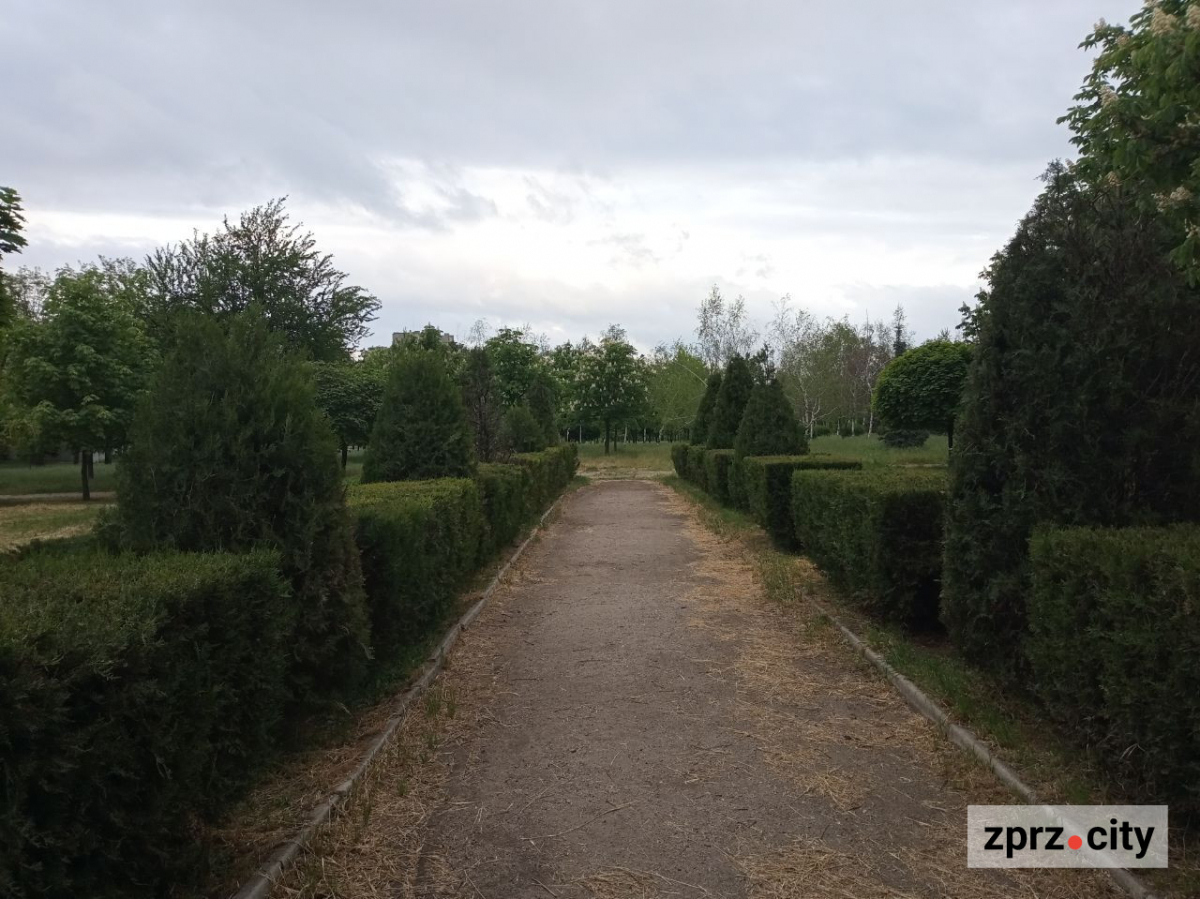 Весняна краса запорізького парку - в одному з районів міста цвітуть заборонені рослини