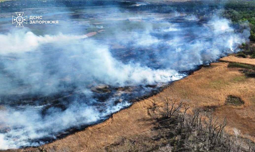 Запорізькі рятувальники показали, як гасили пожежу у плавнях - відео, фото