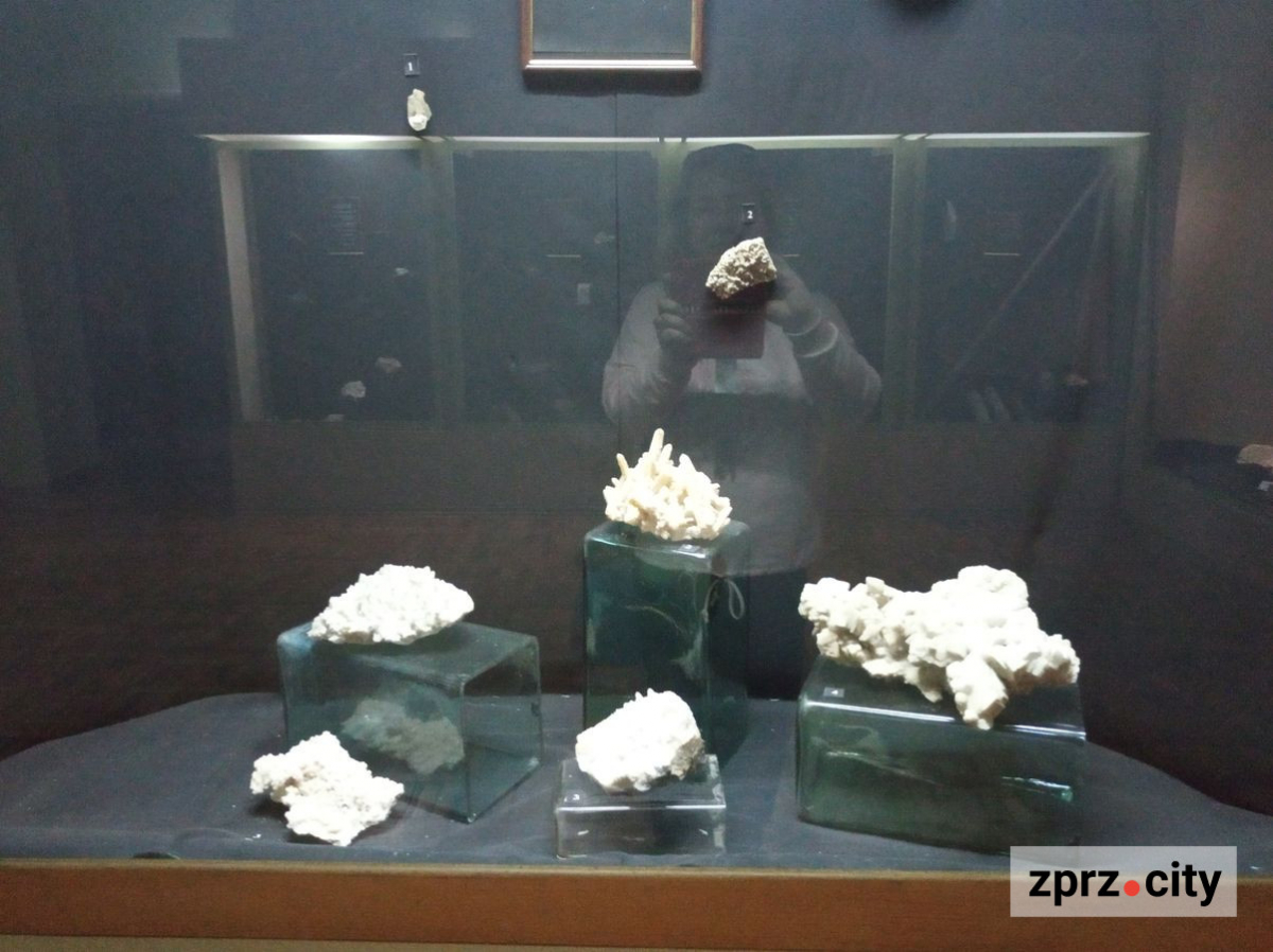 Запорізький музей змінив назву і директора - що там зараз показують