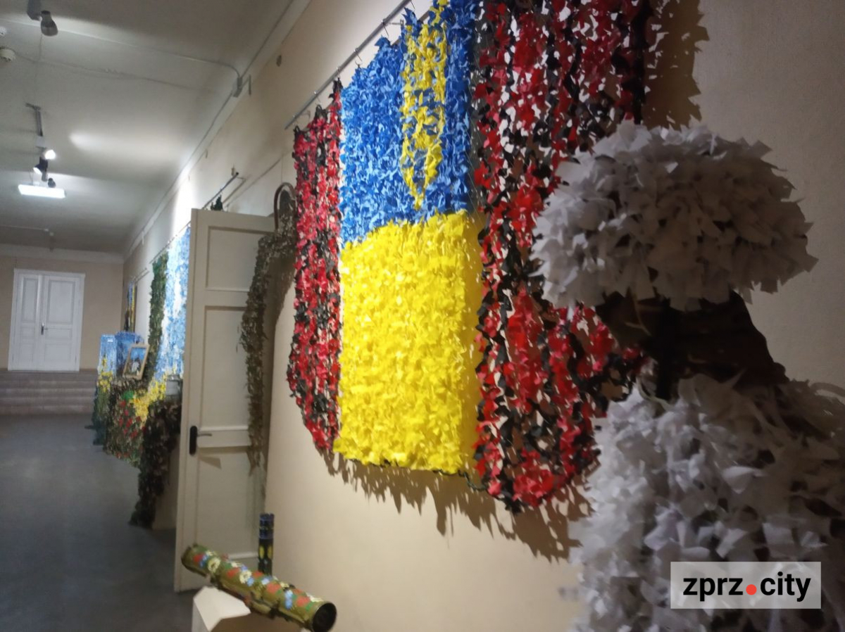 Запорізький музей змінив назву і директора - що там зараз показують