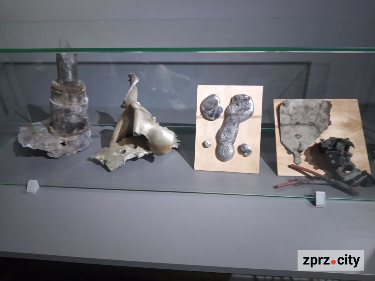 Запорізький музей змінив назву і директора - що там зараз показують