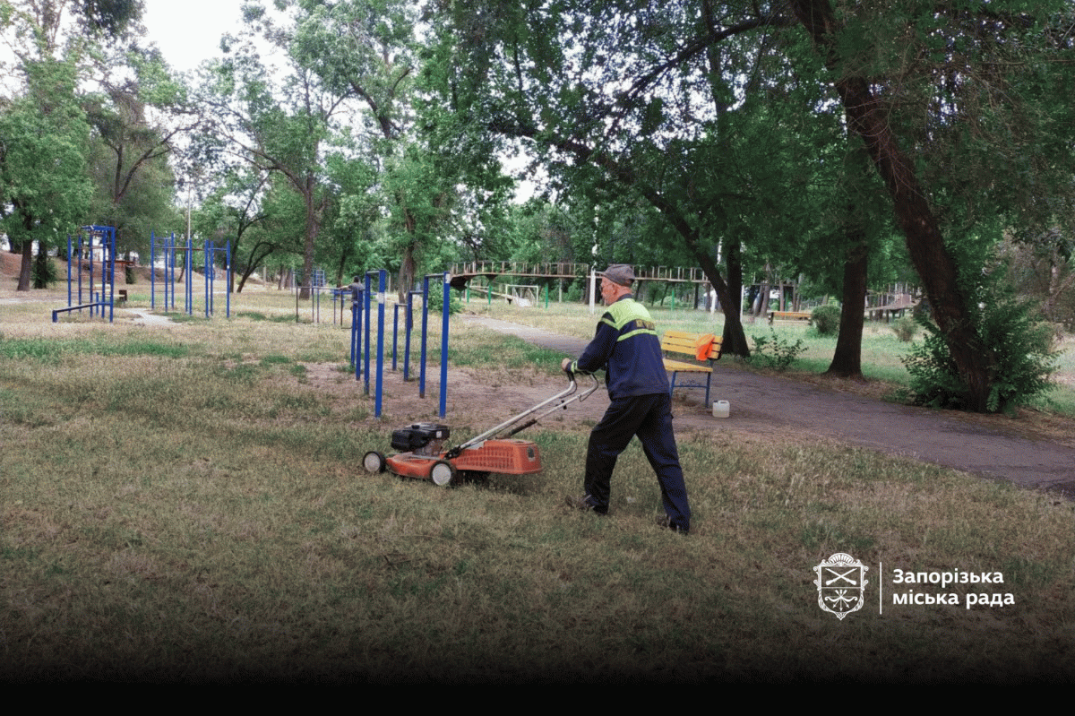 Головний парк Запоріжжя зустрічає відвідувачів доглянутими клумбами з красивими квітами - фото