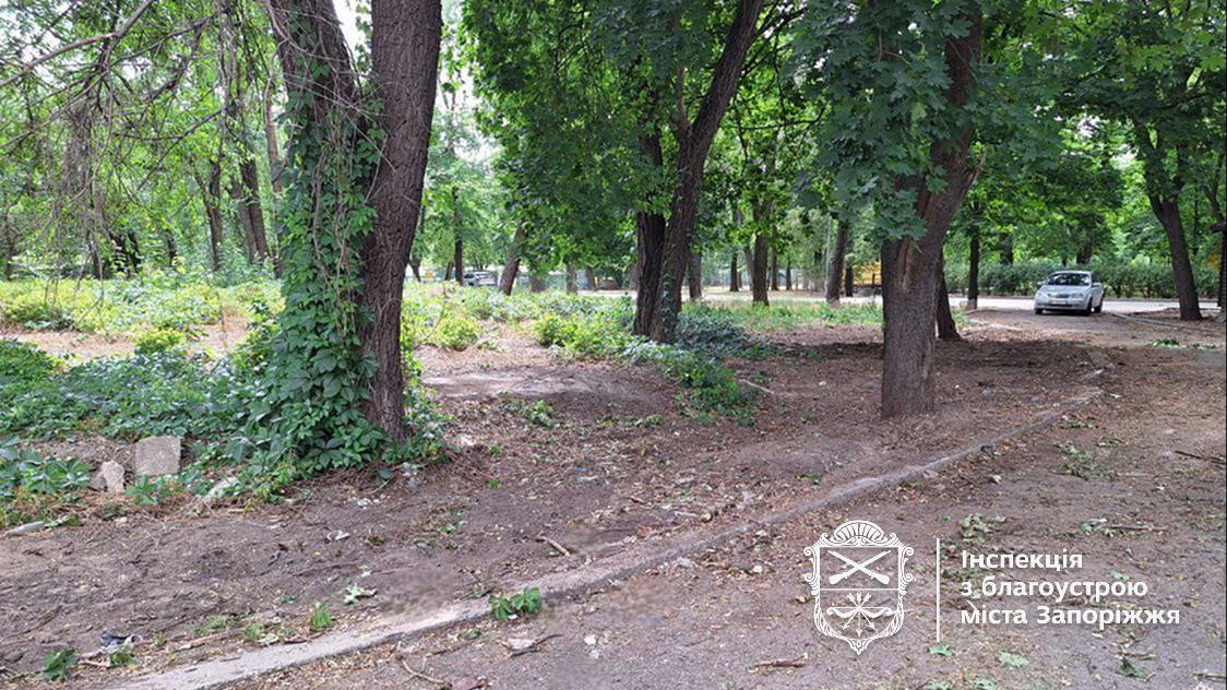 Гори мотлоху - в центрі Запоріжжя виявили сміттєзвалище поблизу парку (фото)