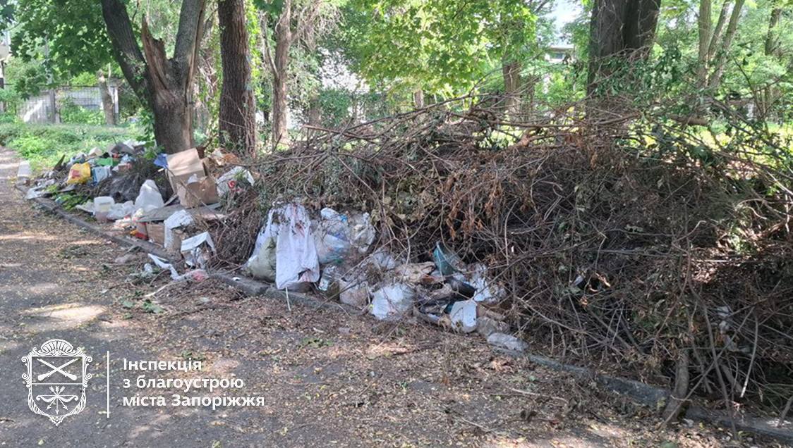 Гори мотлоху - в центрі Запоріжжя виявили сміттєзвалище поблизу парку (фото)