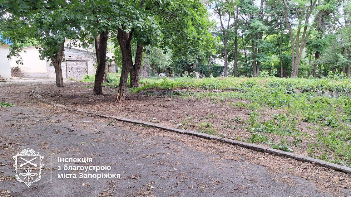 Гори мотлоху - в центрі Запоріжжя виявили сміттєзвалище поблизу парку (фото)