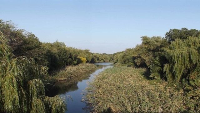 Якість води погіршується - науковці дослідили стан малих річок на Запоріжжі
