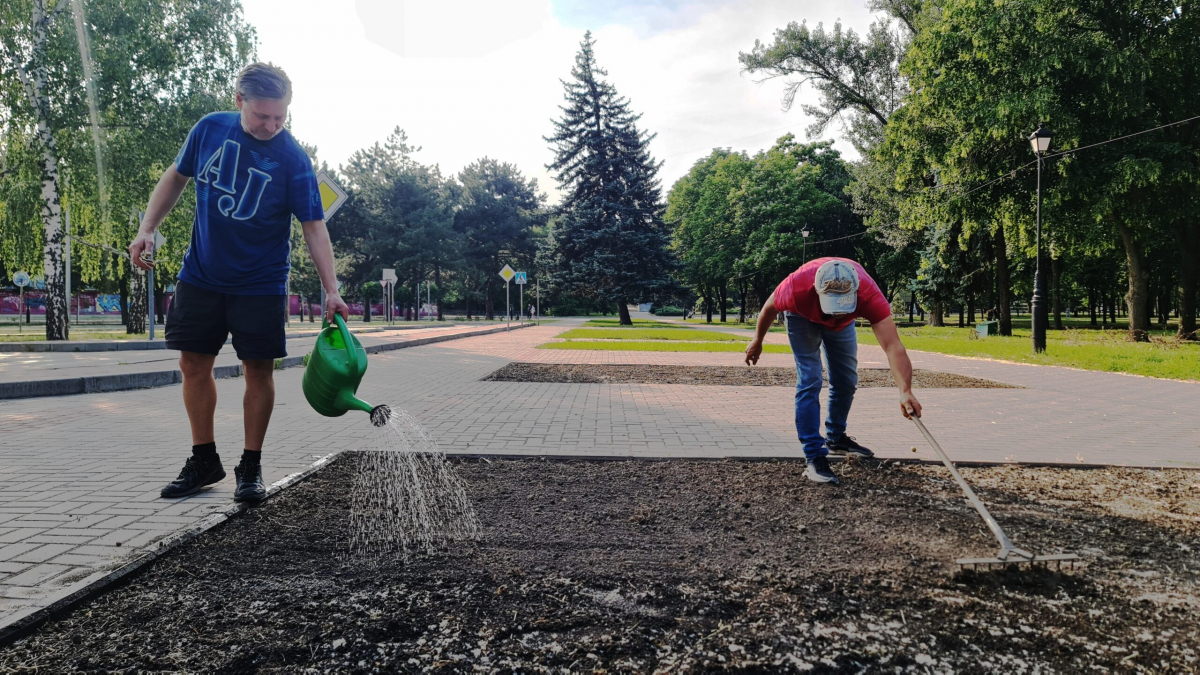 Квітучий експеримент - ділянки в центрі Запоріжжя засіяли різнотрав'ям (фото)