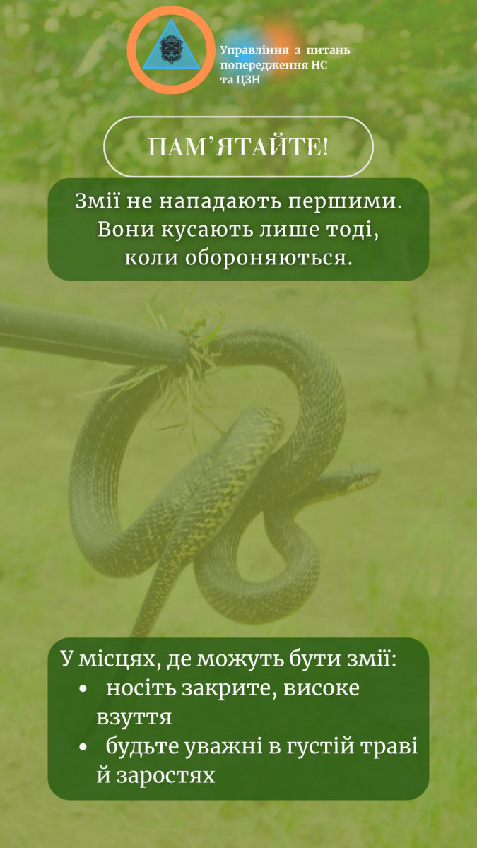 Налякала перехожих — у центрі Запоріжжя помітили змію в сквері (фото)