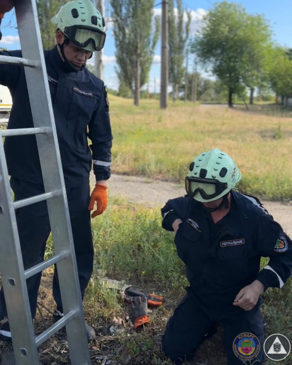 Опинився в пастці під землею - у Запоріжжі врятували песика, який провалився в каналізаційний люк (фото)
