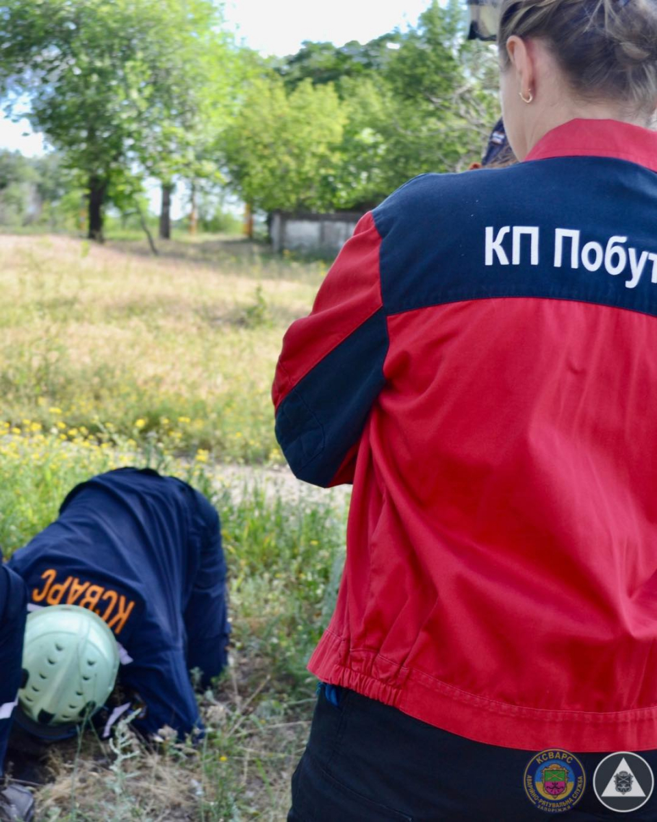 Опинився в пастці під землею - у Запоріжжі врятували песика, який провалився в каналізаційний люк (фото)