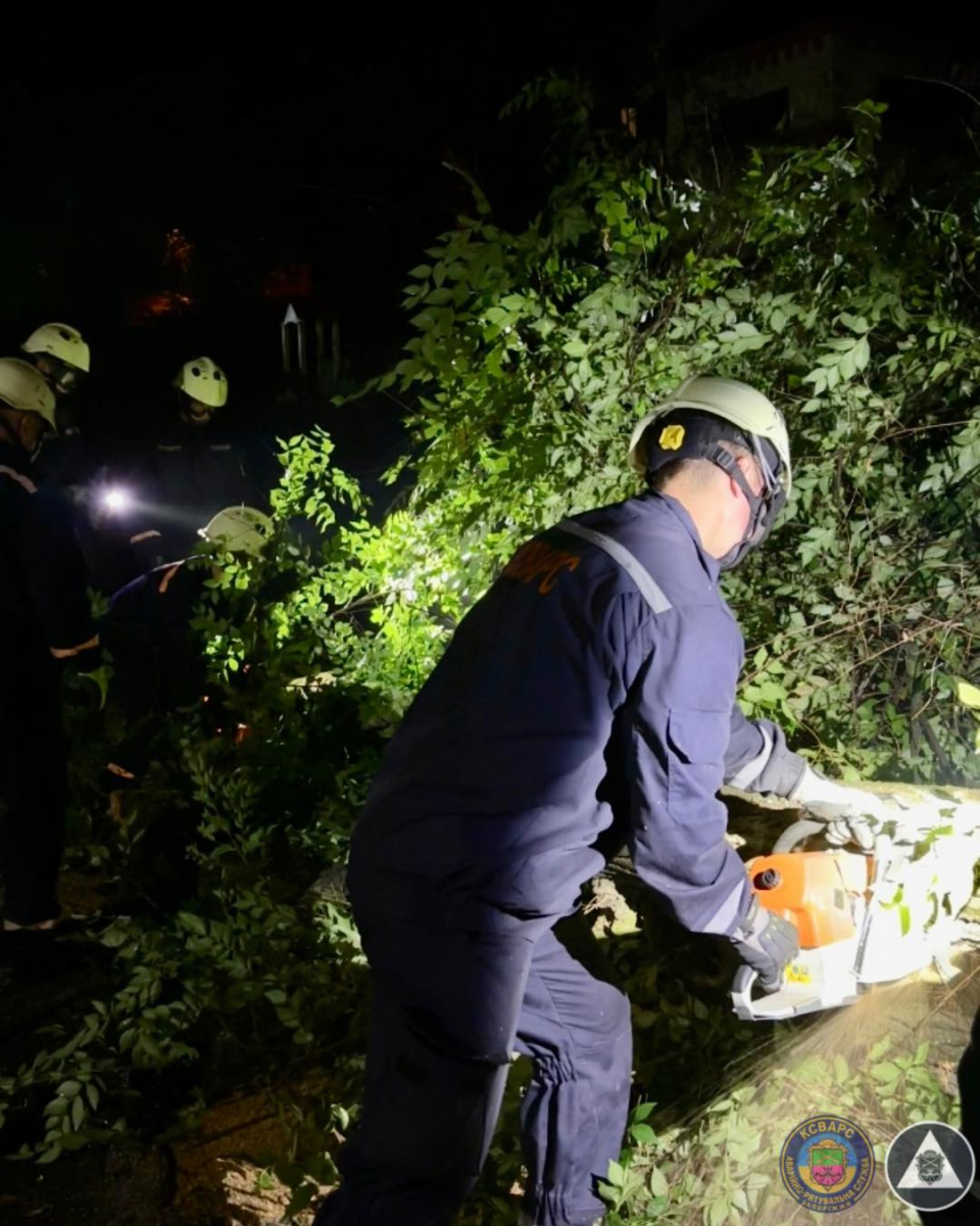 У Запоріжжі вирувала негода – які наслідки (фото)