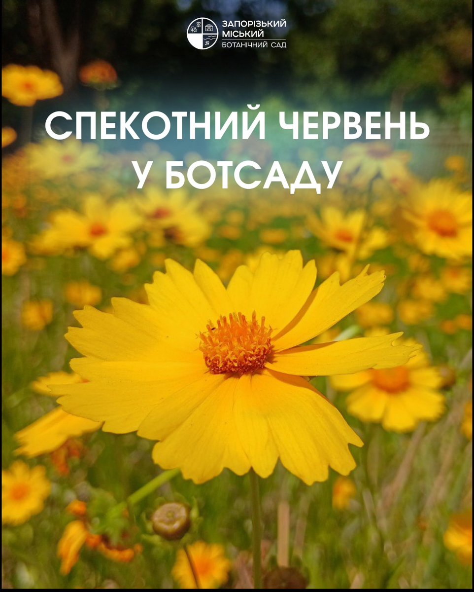 Запорізький рай - ботсад запрошує зануритись у пахощі квітучого червня (фото)