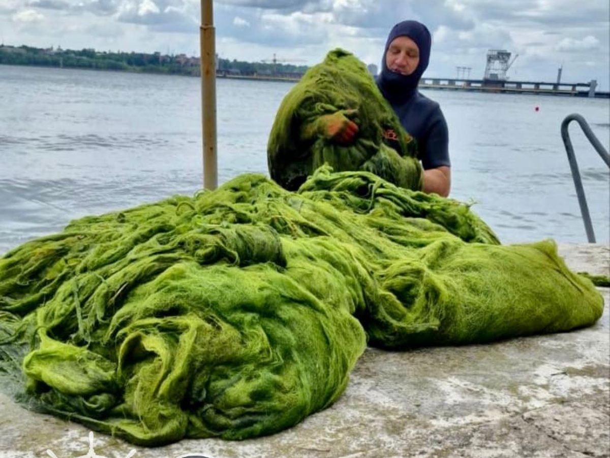 Зелена навала - у Запоріжжі щодня дістають з Дніпра до 800 кг водоростей (фото)