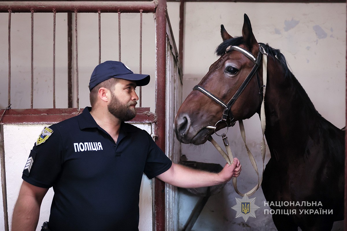 Гек і Гуляка стали патрульними - У Запоріжжі кінна поліція отримала нових скакунів (фото)